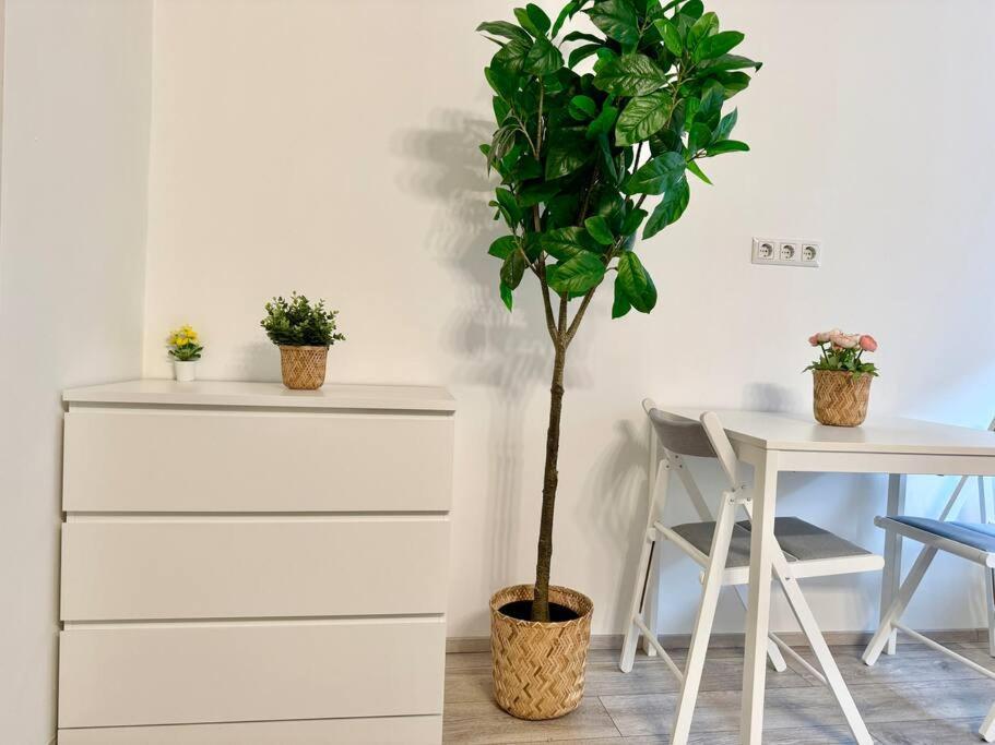 Apartment Cosy With Free Parking Wien
